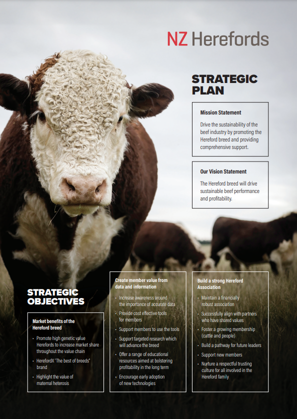 Strategic Plan Cover Page