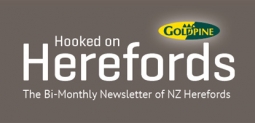 Hooked on Herefords, February 2022 Available