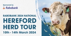 Rabobank 2024 National Hereford Herd Tour