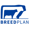 BREEDPLAN WEBINAR