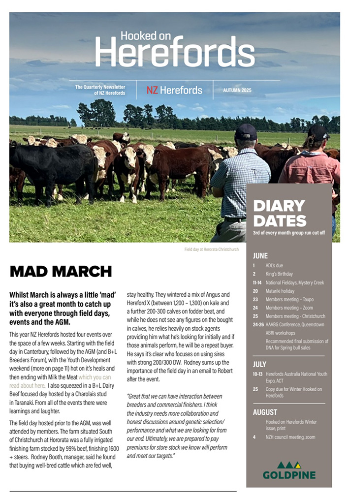 Autumn Newsletter 2025